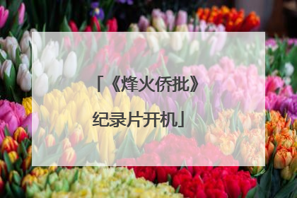 《烽火侨批》纪录片开机