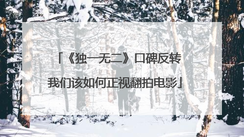 《独一无二》口碑反转 我们该如何正视翻拍电影