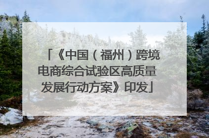 《中国（福州）跨境电商综合试验区高质量发展行动方案》印发