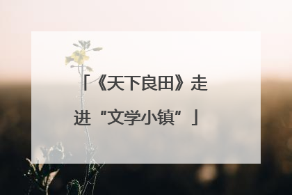 《天下良田》走进“文学小镇”