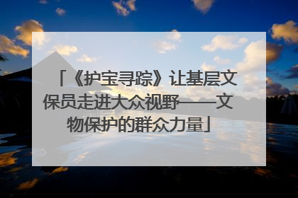 《护宝寻踪》让基层文保员走进大众视野——文物保护的群众力量