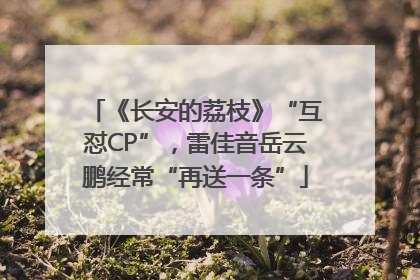 《长安的荔枝》“互怼CP”，雷佳音岳云鹏经常“再送一条”