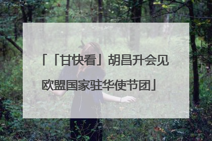 「甘快看」胡昌升会见欧盟国家驻华使节团
