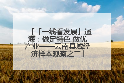「一线看发展」通海：做足特色 做优产业——云南县域经济样本观察之二