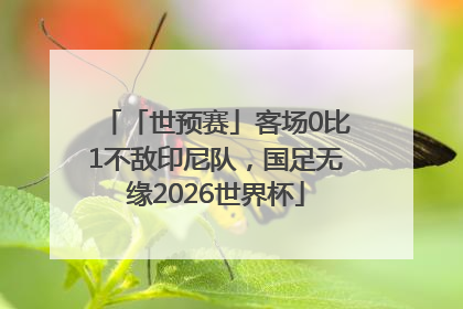 「世预赛」客场0比1不敌印尼队，国足无缘2026世界杯