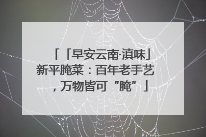 「早安云南·滇味」新平腌菜：百年老手艺，万物皆可“腌”