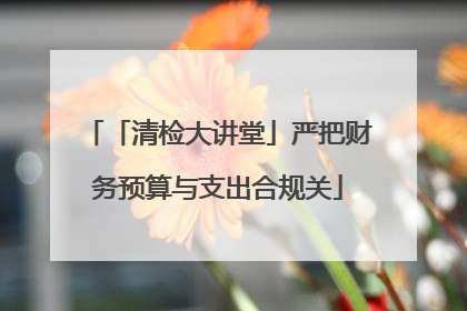 「清检大讲堂」严把财务预算与支出合规关