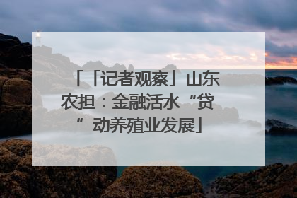 「记者观察」山东农担：金融活水“贷”动养殖业发展