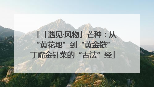 「遇见·风物」芒种：从“黄花地”到“黄金链” 丁嘴金针菜的“古法”经