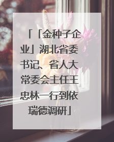 「金种子企业」湖北省委书记、省人大常委会主任王忠林一行到依瑞德调研