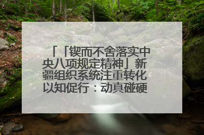 「锲而不舍落实中央八项规定精神」新疆组织系统注重转化以知促行：动真碰硬抓好整改整治