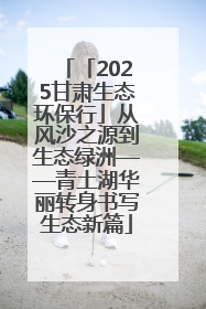 「2025甘肃生态环保行」从风沙之源到生态绿洲——青土湖华丽转身书写生态新篇