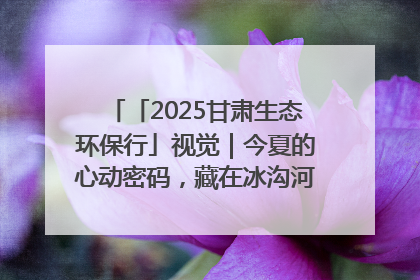 「2025甘肃生态环保行」视觉｜今夏的心动密码，藏在冰沟河的潋滟波光里
