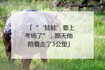 “‘娃娃’要上考场了”，那天他陪着走了3公里