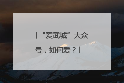 “爱武城”大众号，如何爱？