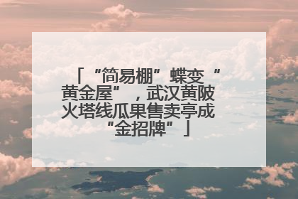 “简易棚”蝶变“黄金屋”，武汉黄陂火塔线瓜果售卖亭成“金招牌”