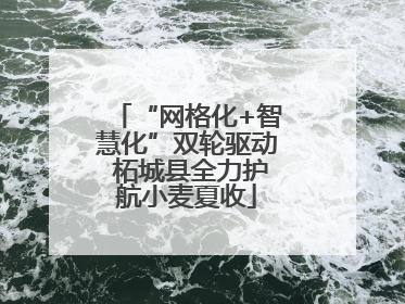 “网格化+智慧化”双轮驱动 柘城县全力护航小麦夏收