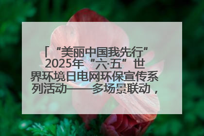 “美丽中国我先行” 2025年“六·五”世界环境日电网环保宣传系列活动——多场景联动，共筑生态发展新图景