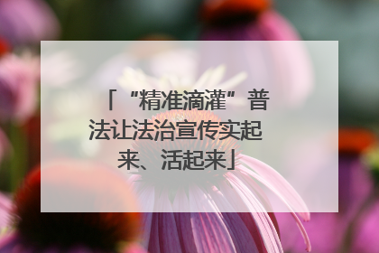 “精准滴灌”普法让法治宣传实起来、活起来