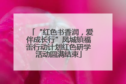 “红色书香润，爱伴成长行”凤城镇福蕾行动计划红色研学活动圆满结束