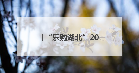 “乐购湖北”2025荆门6.18直播电商节暨特色商品市集正式启动