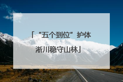 “五个到位”护体 淅川稳守山林