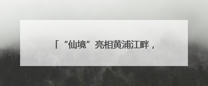 “仙境”亮相黄浦江畔，三大优惠游玩政策等你来