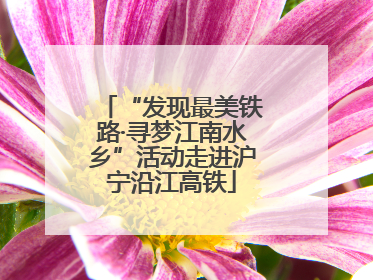“发现最美铁路·寻梦江南水乡”活动走进沪宁沿江高铁