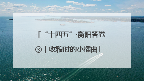 “十四五”·衡阳答卷③｜收粮时的小插曲