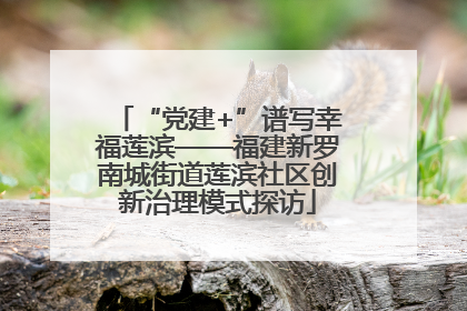 “党建+”谱写幸福莲滨——福建新罗南城街道莲滨社区创新治理模式探访
