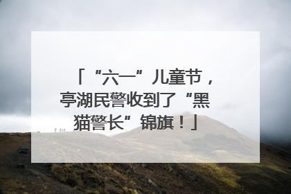 “六一”儿童节，亭湖民警收到了“黑猫警长”锦旗！