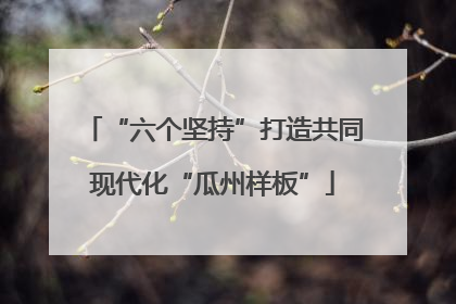 “六个坚持”打造共同现代化“瓜州样板”