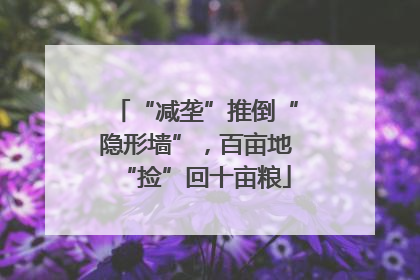 “减垄”推倒“隐形墙”，百亩地“捡”回十亩粮