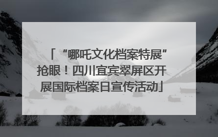 “哪吒文化档案特展”抢眼！四川宜宾翠屏区开展国际档案日宣传活动