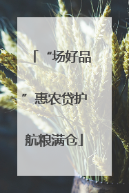 “场好品”惠农贷护航粮满仓