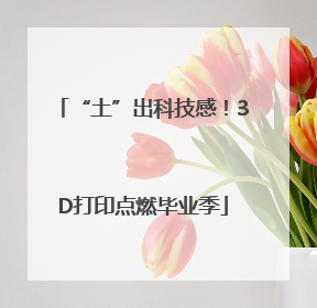 “土”出科技感！3D打印点燃毕业季