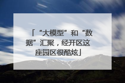 “大模型”和“数据”汇聚，经开区这座园区很酷炫