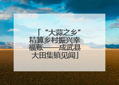 “大蒜之乡”精算乡村振兴幸福账——成武县大田集镇见闻