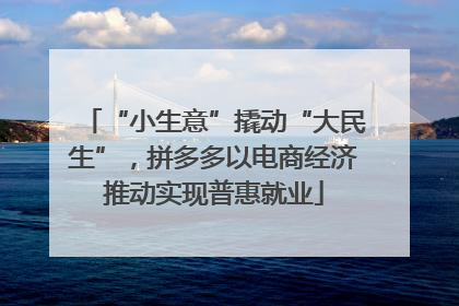 “小生意”撬动“大民生”，拼多多以电商经济推动实现普惠就业