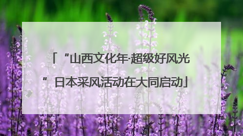 “山西文化年·超级好风光”日本采风活动在大同启动