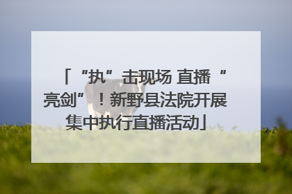“执”击现场 直播“亮剑”！新野县法院开展集中执行直播活动