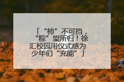 “柿”不可挡，“粽”望所归！徐汇校园用仪式感为少年们“充能”