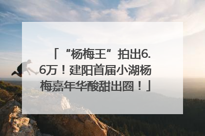 “杨梅王”拍出6.6万！建阳首届小湖杨梅嘉年华酸甜出圈！