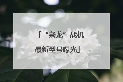 “枭龙”战机最新型号曝光