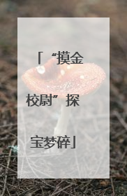 “摸金校尉”探宝梦碎