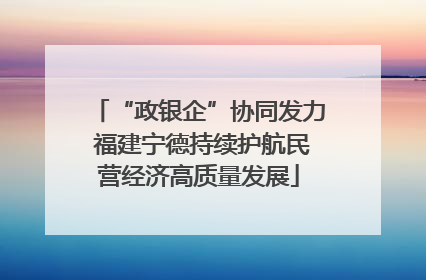 “政银企”协同发力 福建宁德持续护航民营经济高质量发展