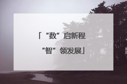 “数”启新程 “智”领发展