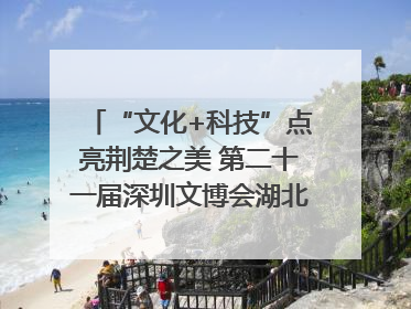 “文化+科技”点亮荆楚之美 第二十一届深圳文博会湖北馆抢“鲜”看