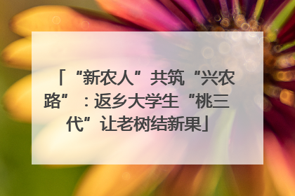 “新农人”共筑“兴农路”：返乡大学生“桃三代”让老树结新果