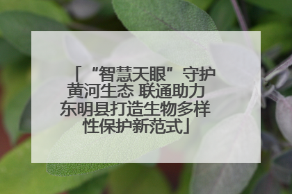 “智慧天眼”守护黄河生态 联通助力东明县打造生物多样性保护新范式